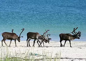 turistipercaso norvegia-5bg48