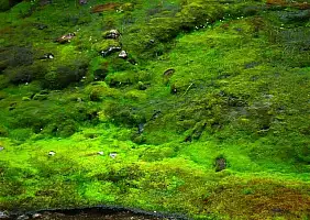 turistipercaso norvegia-7zk4g
