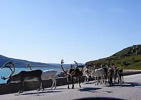 turistipercaso norvegia-85wpt