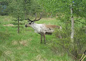 turistipercaso norvegia-9nqba