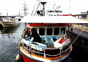 turistipercaso norvegia-mchv3