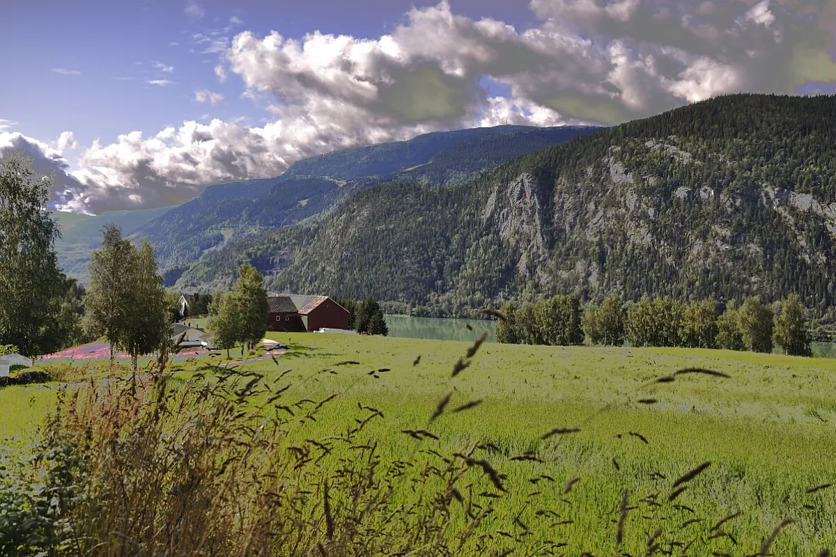 Norvegia on the road