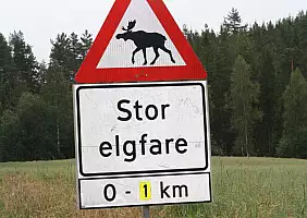 turistipercaso norvegia-xhzhv