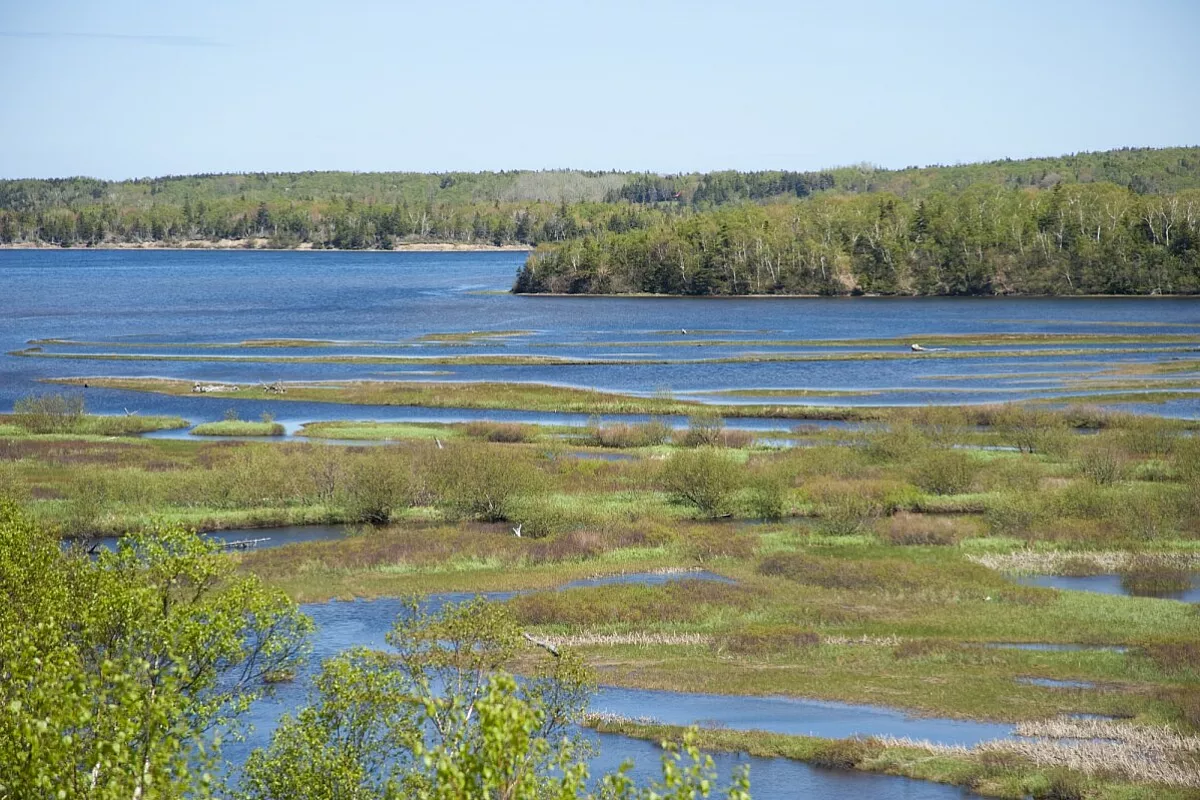 Nova Scotia di Halifax e Cape Breton