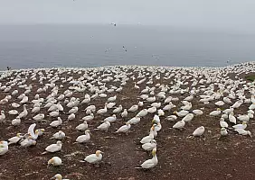turistipercaso nova-scotia-region-1675s