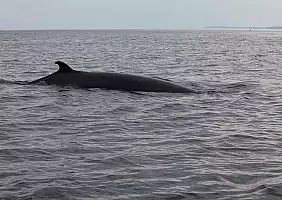 turistipercaso nova-scotia-region-1z2vz