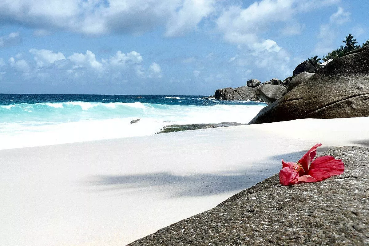 Seychelles, il vento e il mare