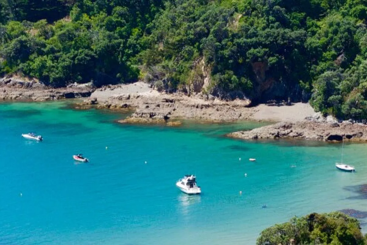Viaggiare come veri Kiwis!