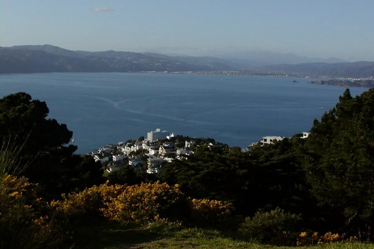 Giro del mondo – Giappone / Nuova Zelanda / San Francisco / Londra