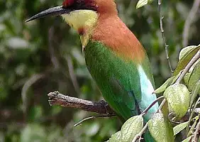 turistipercaso nuwara-eliya-region-nzngt