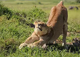 turistipercaso okavango-qw9a6
