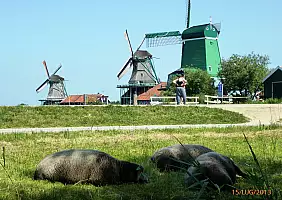 turistipercaso olanda-8q21e