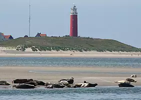 turistipercaso olanda-9qrqf