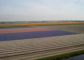 turistipercaso olanda-b66pq