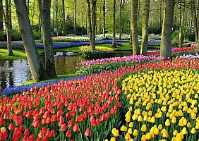 turistipercaso olanda-jkpyd
