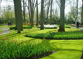 turistipercaso olanda-rg7ua
