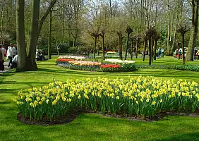 turistipercaso olanda-vwxyu
