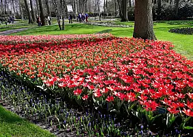 turistipercaso olanda-wnydn
