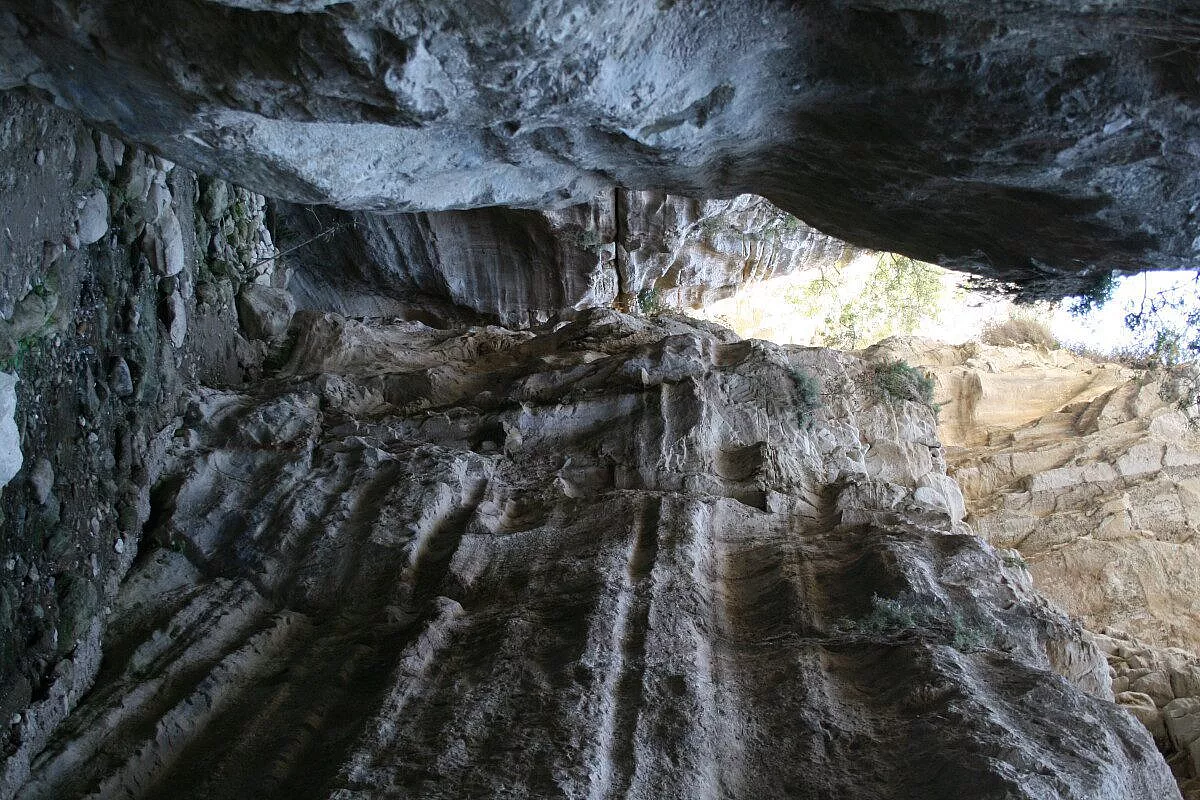 Samos, isola di cultura e natura a 360°