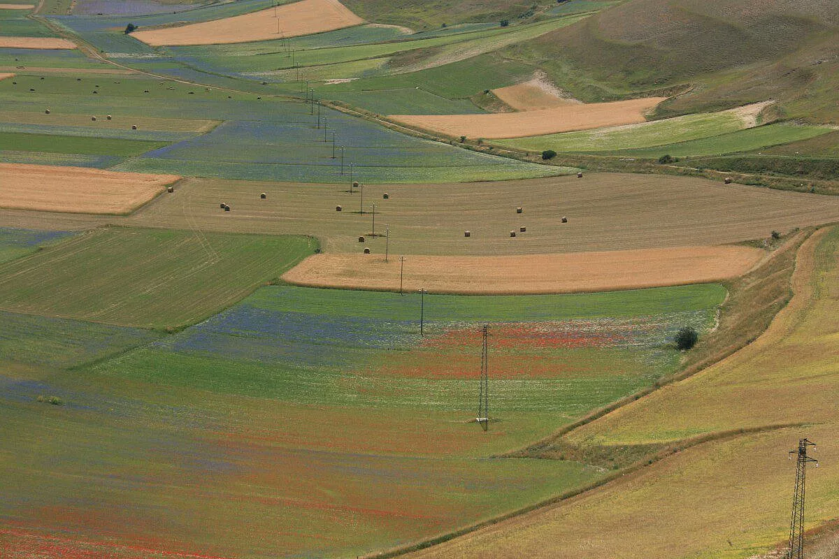 Sicilia in agriturismo