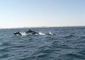 turistipercaso oman-dmne1