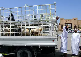 turistipercaso oman-eusn1