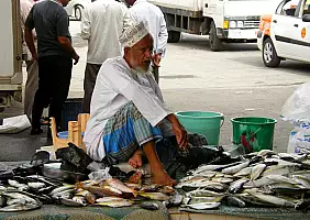 turistipercaso oman-stbm5