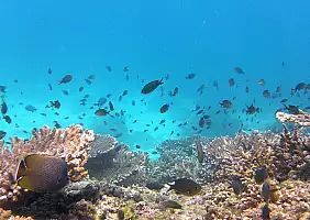 turistipercaso oman-vebjf