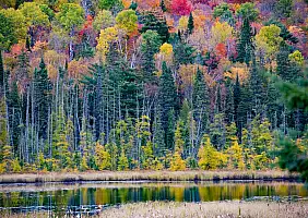 turistipercaso ontario-32xxr