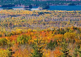 turistipercaso ontario-787z7
