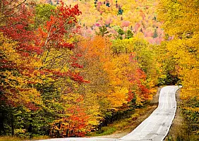turistipercaso ontario-d9zr8
