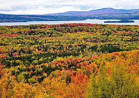 turistipercaso ontario-yn7dz