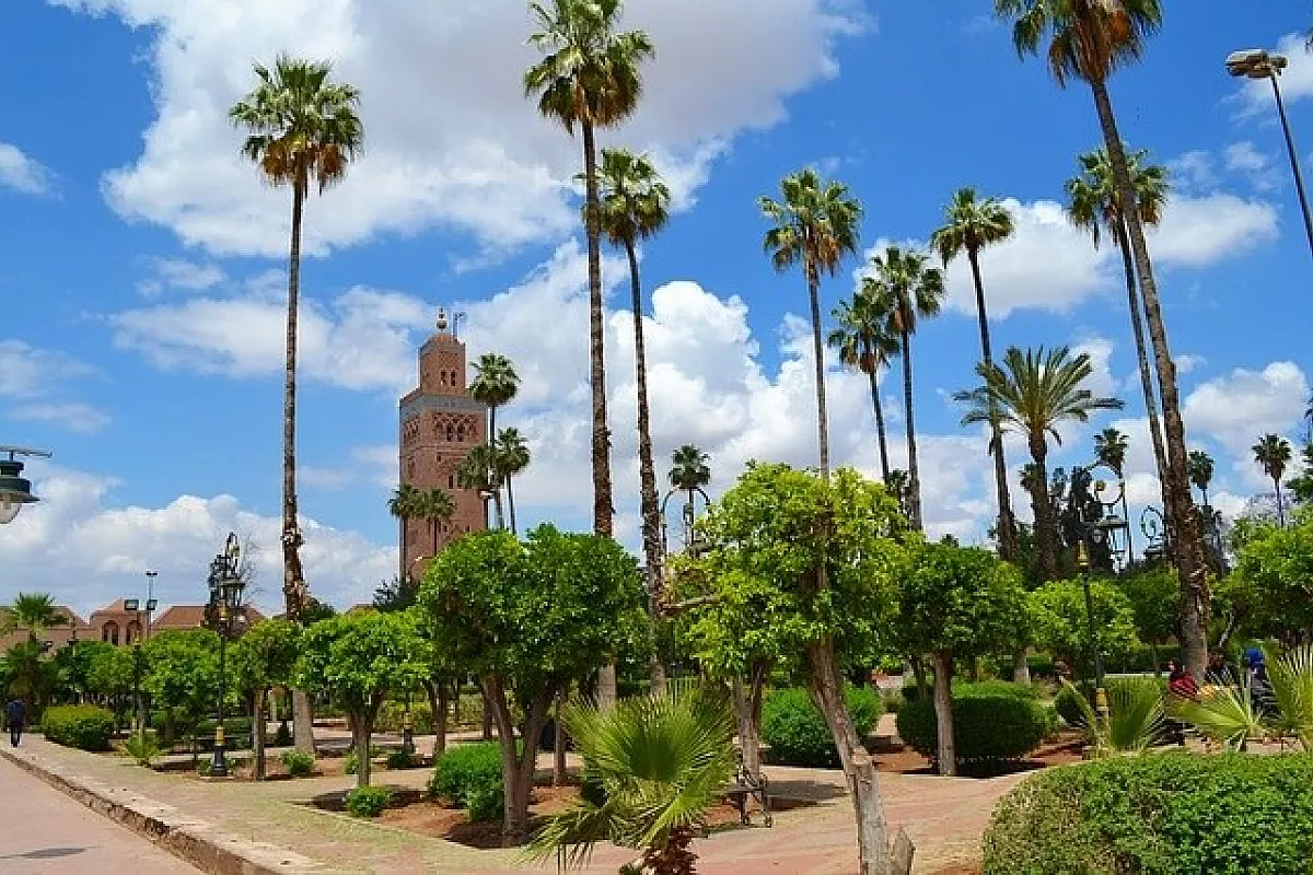 Marrakech Express 5