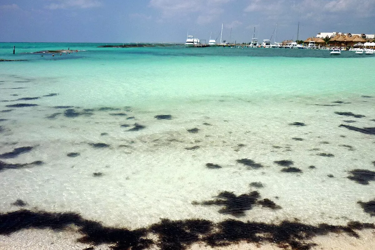 A zonzo fra Yucatan e Quintana roo