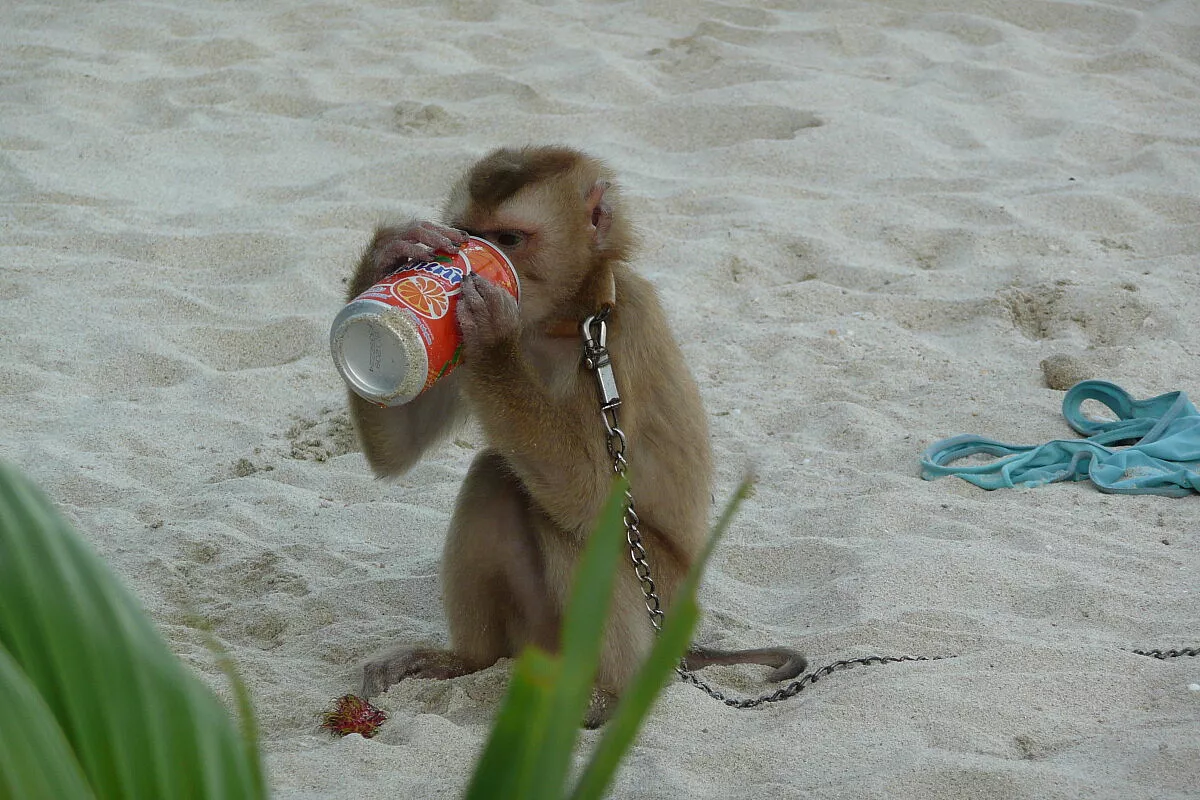 Thailandia, sfidiamo chiunque