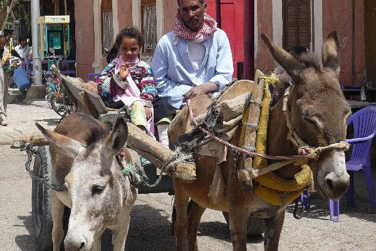 SHARM EL SHEIKH: il gioco delle differenze