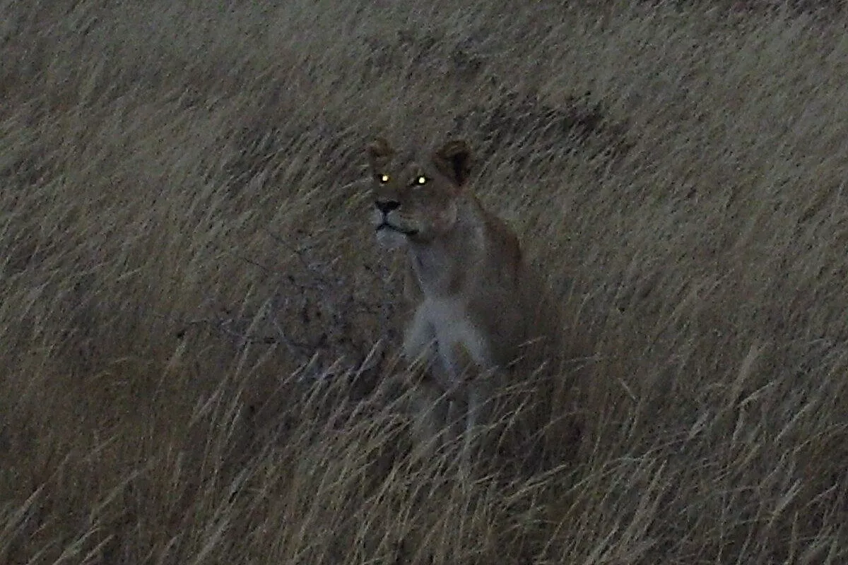Un sogno chiamato Kenya