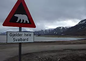 turistipercaso parchi-1dvy2