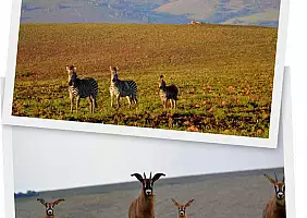 turistipercaso parchi-b6u9q