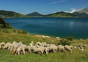 turistipercaso parco-nazionale-dabruzzo-q1f3h