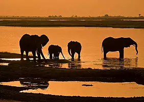 turistipercaso parco-nazionale-del-serengeti-qmwgq