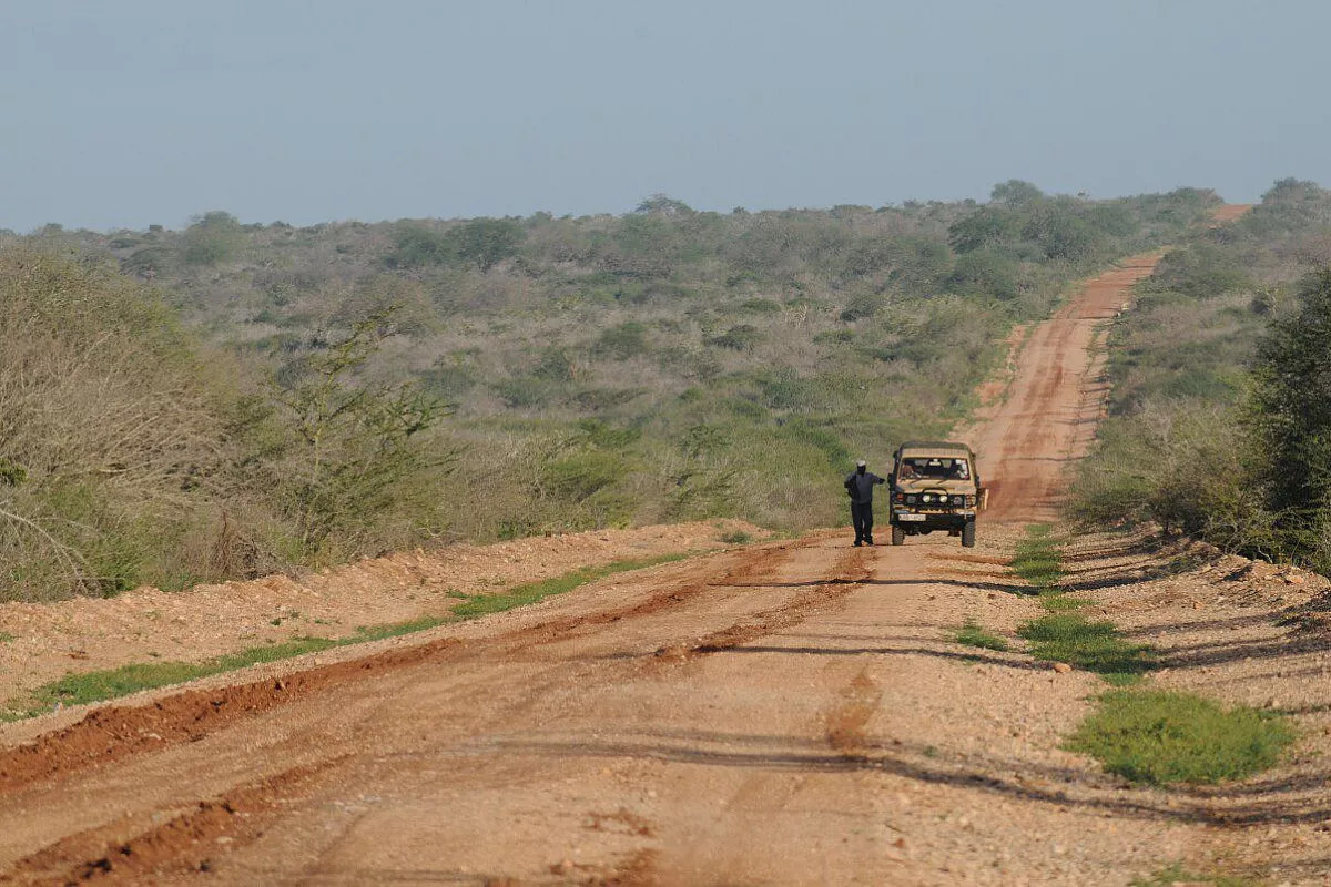 Safari in Kenya da protagonista....