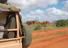 turistipercaso parco-nazionale-tsavo-east-ty5nj