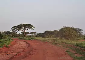 turistipercaso parco-tsavo-est-4qphs