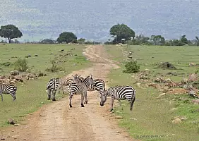 turistipercaso parco-tsavo-est-7f6cf