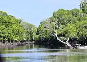 turistipercaso parco-tsavo-est-br9z8