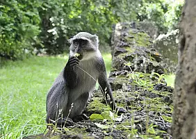 turistipercaso parco-tsavo-est-m5zhx