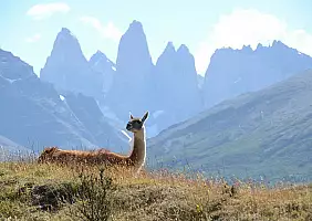 turistipercaso patagonia-dm7kn