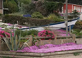 turistipercaso patagonia-fsxb2