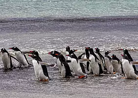 turistipercaso patagonia-hpprz
